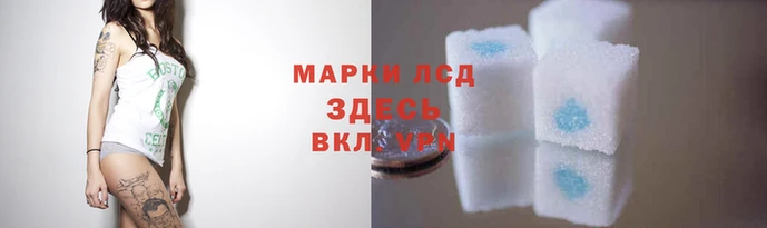 a pvp Абаза
