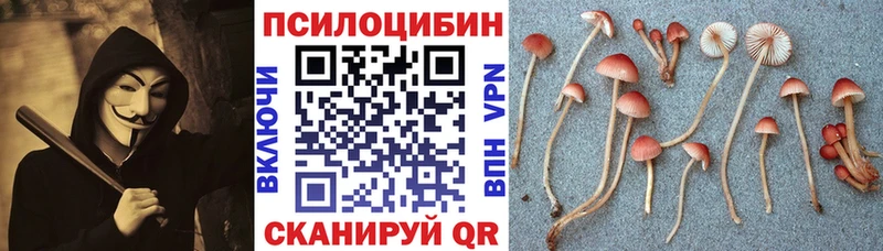 Галлюциногенные грибы Psilocybine cubensis  Сурск 